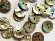 Shell buttons
