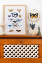The Botanist's Cabinet Embroidery pattern book  by DMC