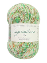 Signature 4 Ply by West Yorkshire Spinners