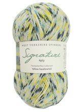 Signature 4 Ply by West Yorkshire Spinners