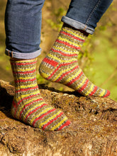 Sock pattern books by Winwick Mum and West Yorkshire Spinners