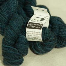 Shropshire Ply 2019 Aran
