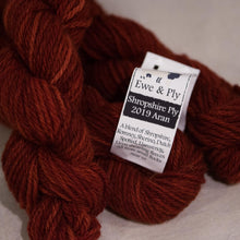 Shropshire Ply 2019 Aran