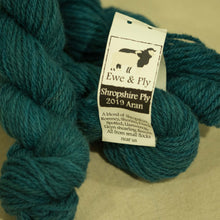Shropshire Ply 2019 Aran