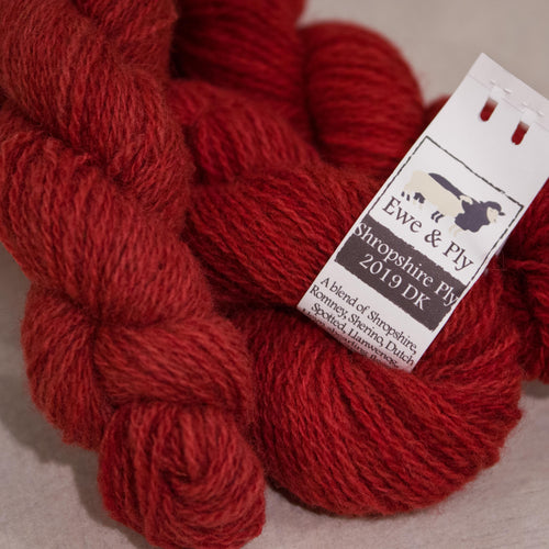 Shropshire Ply 2019 Double Knitting