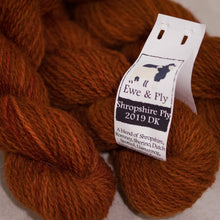 Shropshire Ply 2019 Double Knitting