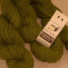 Shropshire Ply 2019 Double Knitting