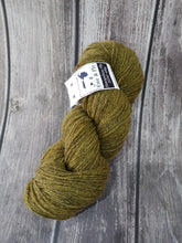 Shropshire Ply 2020 4 Ply