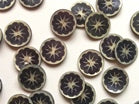 Flower shell buttons