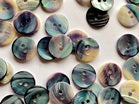 Shell buttons