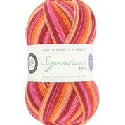 Signature 4 Ply by West Yorkshire Spinners