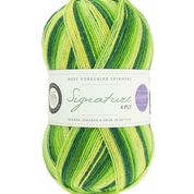 Signature 4 Ply by West Yorkshire Spinners
