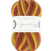 Signature 4 Ply by West Yorkshire Spinners