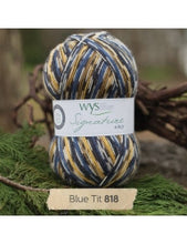 Signature 4 Ply by West Yorkshire Spinners
