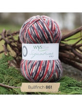 Signature 4 Ply by West Yorkshire Spinners