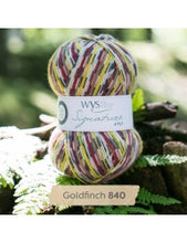 Signature 4 Ply by West Yorkshire Spinners