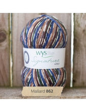 Signature 4 Ply by West Yorkshire Spinners