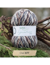 Signature 4 Ply by West Yorkshire Spinners