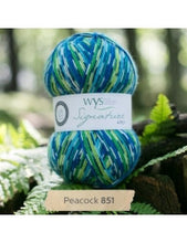 Signature 4 Ply by West Yorkshire Spinners