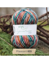 Signature 4 Ply by West Yorkshire Spinners