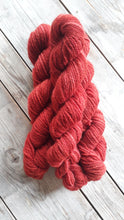 Shropshire Ply 2018 Double Knitting