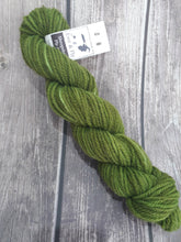 Aran Shropshire Ply 2018