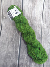 Aran Shropshire Ply 2018