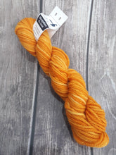 Aran Shropshire Ply 2018