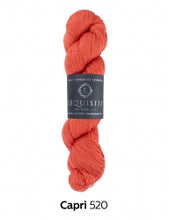 Exquisite by West Yorkshire Spinners