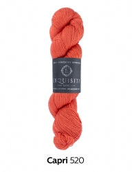 Exquisite by West Yorkshire Spinners