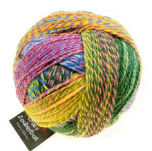 Crazy Zauberball by Schoppel-Wolle