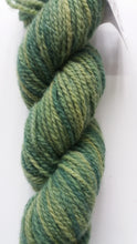 Shropshire Ply Naturals 2018 Aran weight