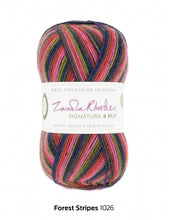 Signature 4 Ply by West Yorkshire Spinners
