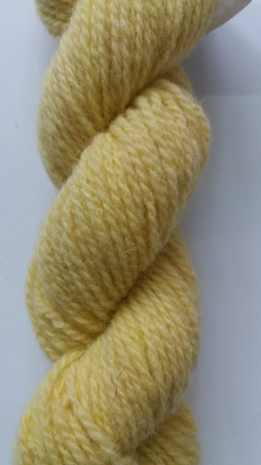 Shropshire Ply Naturals 2018 Aran weight