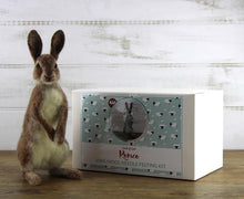Needle Felting Kits by  Chicktin Creations