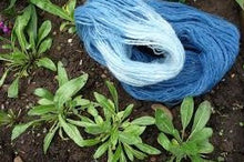 Natural Dyes