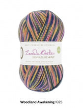 Signature 4 Ply by West Yorkshire Spinners