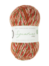 Signature 4 Ply by West Yorkshire Spinners