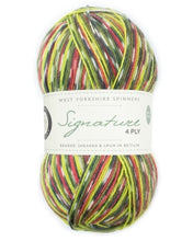Signature 4 Ply by West Yorkshire Spinners