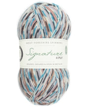 Signature 4 Ply by West Yorkshire Spinners