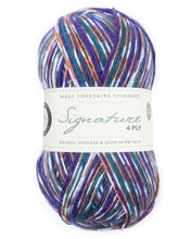 Signature 4 Ply by West Yorkshire Spinners