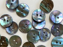 Shell buttons