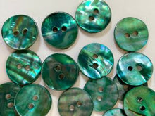 Shell buttons