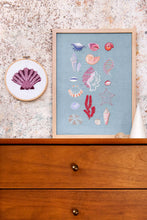 The Botanist's Cabinet Embroidery pattern book  by DMC