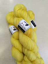 Biffle 4 Ply